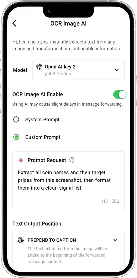 Custom Prompt
